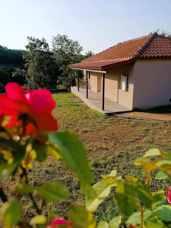 Billy'S House Villa Kalambaka Exterior photo